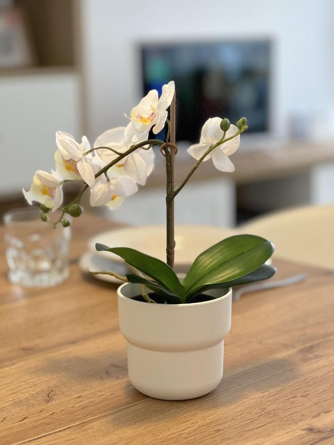 科斯塔特吉塞Casahost Bastian Boutique II Seaview公寓 外观 照片